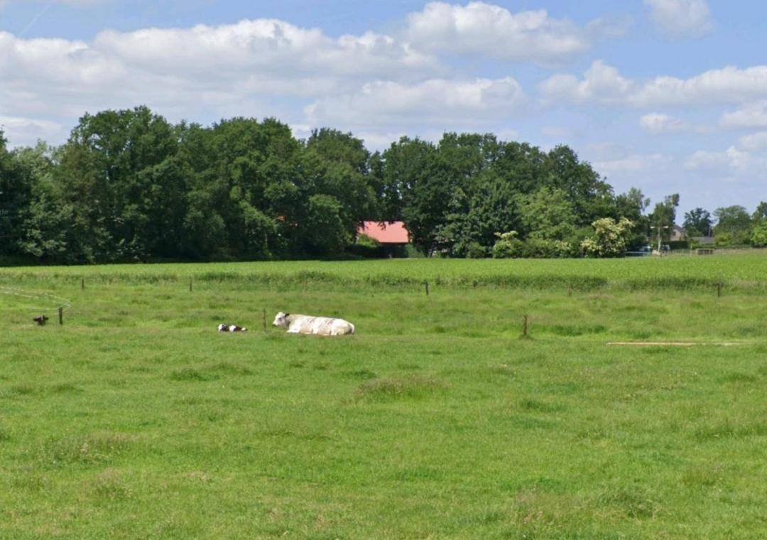 Bed & Breakfast Boekel Zewnętrze zdjęcie