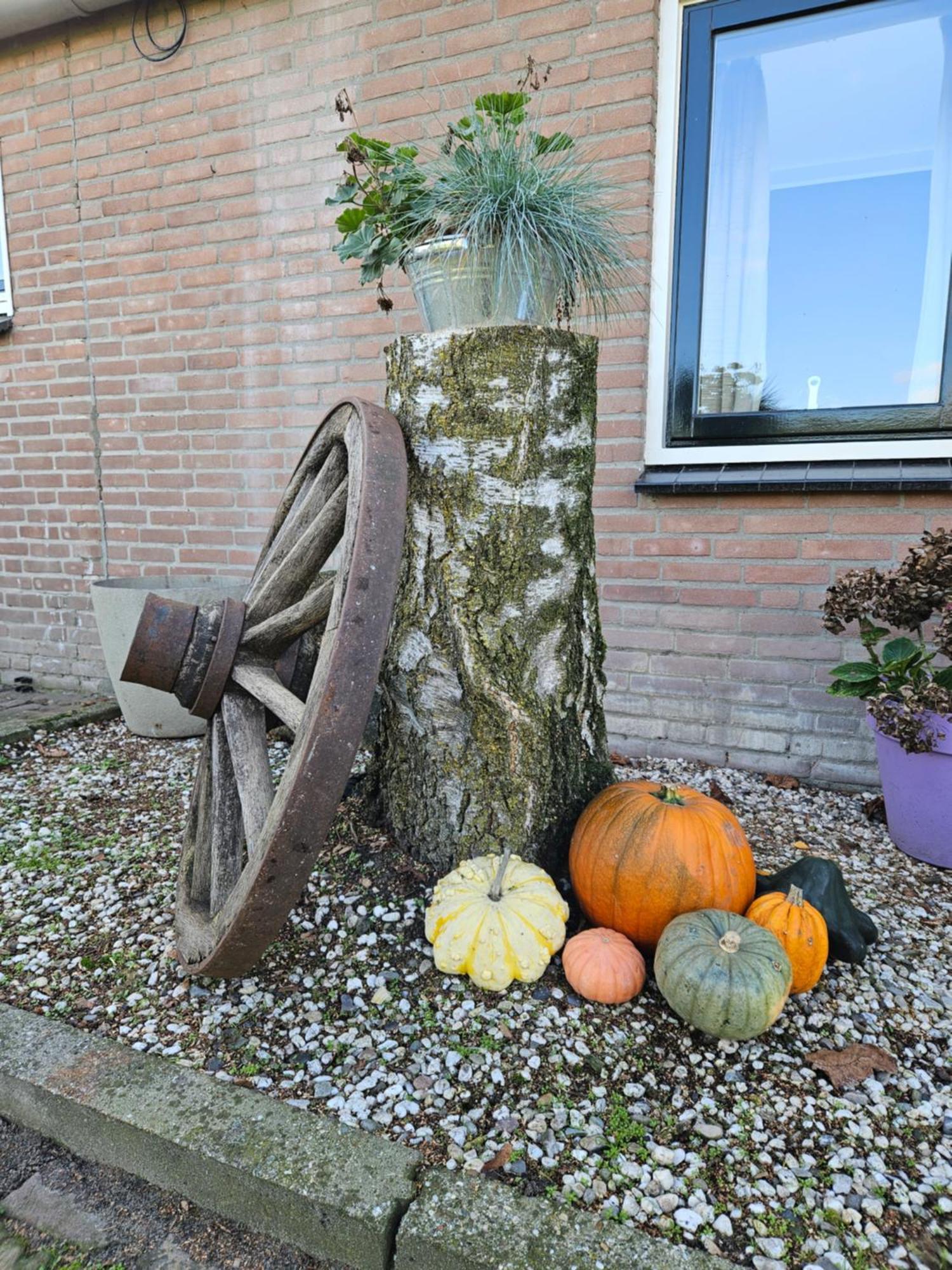 Bed & Breakfast Boekel Zewnętrze zdjęcie