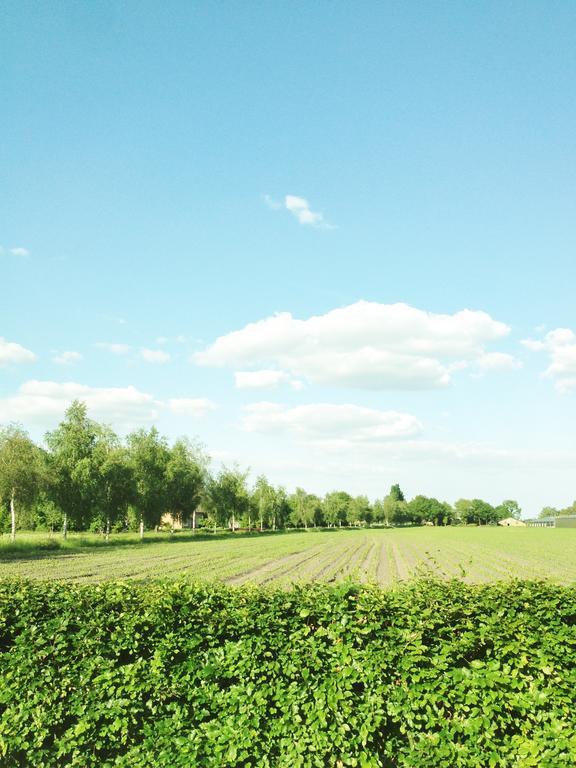 Bed & Breakfast Boekel Zewnętrze zdjęcie